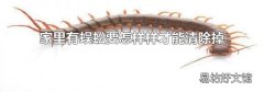 家里有蜈蚣要怎樣樣才能清除掉