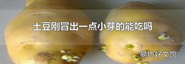 土豆剛冒出一點小芽的能吃嗎