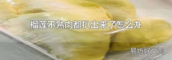 榴蓮不熟肉都扒出來了怎么辦