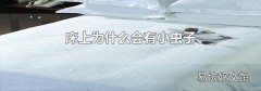 床上為什么會有小蟲子
