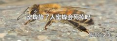 蜜蜂蟄了人蜜蜂會死掉嗎