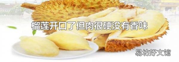 榴蓮開口了但肉很硬沒有香味