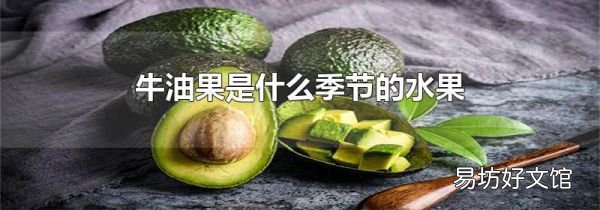 牛油果是什么季节的水果
