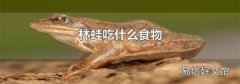 林蛙吃什么食物