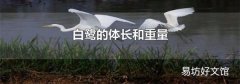 白鹭的体长和重量