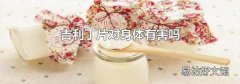 吉利丁片对身体有害吗