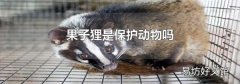 果子狸是保护动物吗