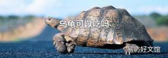 乌龟可以吃吗