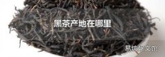 黑茶产地在哪里
