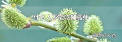 什么人不能吃柳蒿芽