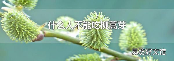 什么人不能吃柳蒿芽