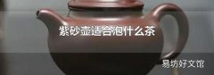 紫砂壺適合泡什么茶