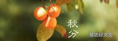 秋分的三候是什么