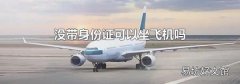 沒(méi)帶身份證可以坐飛機(jī)嗎