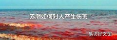 赤潮如何对人产生伤害