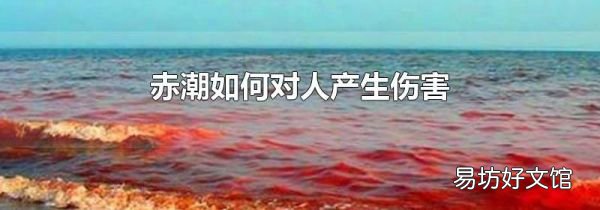 赤潮如何對人產生傷害
