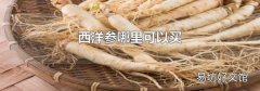 西洋參哪里可以買