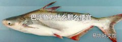 巴沙魚為什么那么便宜