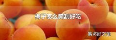 梅子怎么腌制好吃