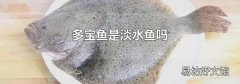 多宝鱼是淡水鱼吗