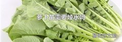 萝卜苗需要焯水吗
