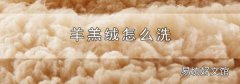 羊羔絨怎么洗