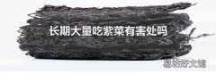 长期大量吃紫菜有害处吗