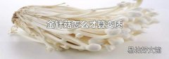 金针菇怎么才算变质