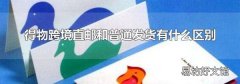 得物跨境直邮和普通发货有什么区别