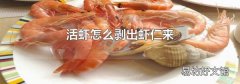 活蝦怎么剝出蝦仁來