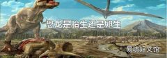 恐龙是胎生还是卵生