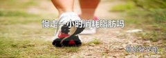 慢走一小时消耗脂肪吗