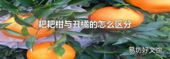 耙耙柑与丑橘的怎么区分