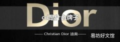 cd是什么牌子