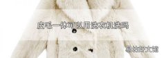 皮毛一體可以用洗衣機洗嗎