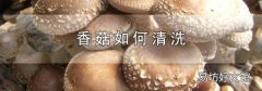 香菇如何清洗