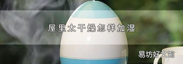 屋里太干燥怎樣加濕