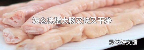 怎么洗豬大腸又快又干凈