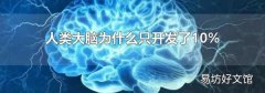 人类大脑为什么只开发了10%