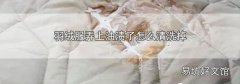 羽绒服弄上油渍了怎么清洗掉