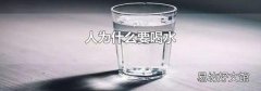 人為什么要喝水