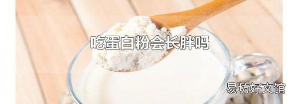 吃蛋白粉會長胖嗎