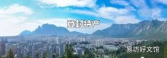 登封特產