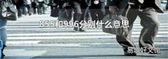 855和996分別什么意思