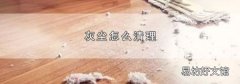 灰塵怎么清理