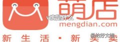 v店是什么