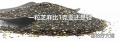 一粒芝麻比1克重還是輕