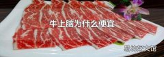 牛上腦為什么便宜