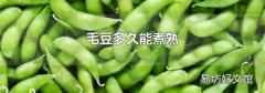 毛豆多久能煮熟