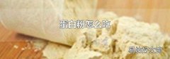蛋白粉怎么吃